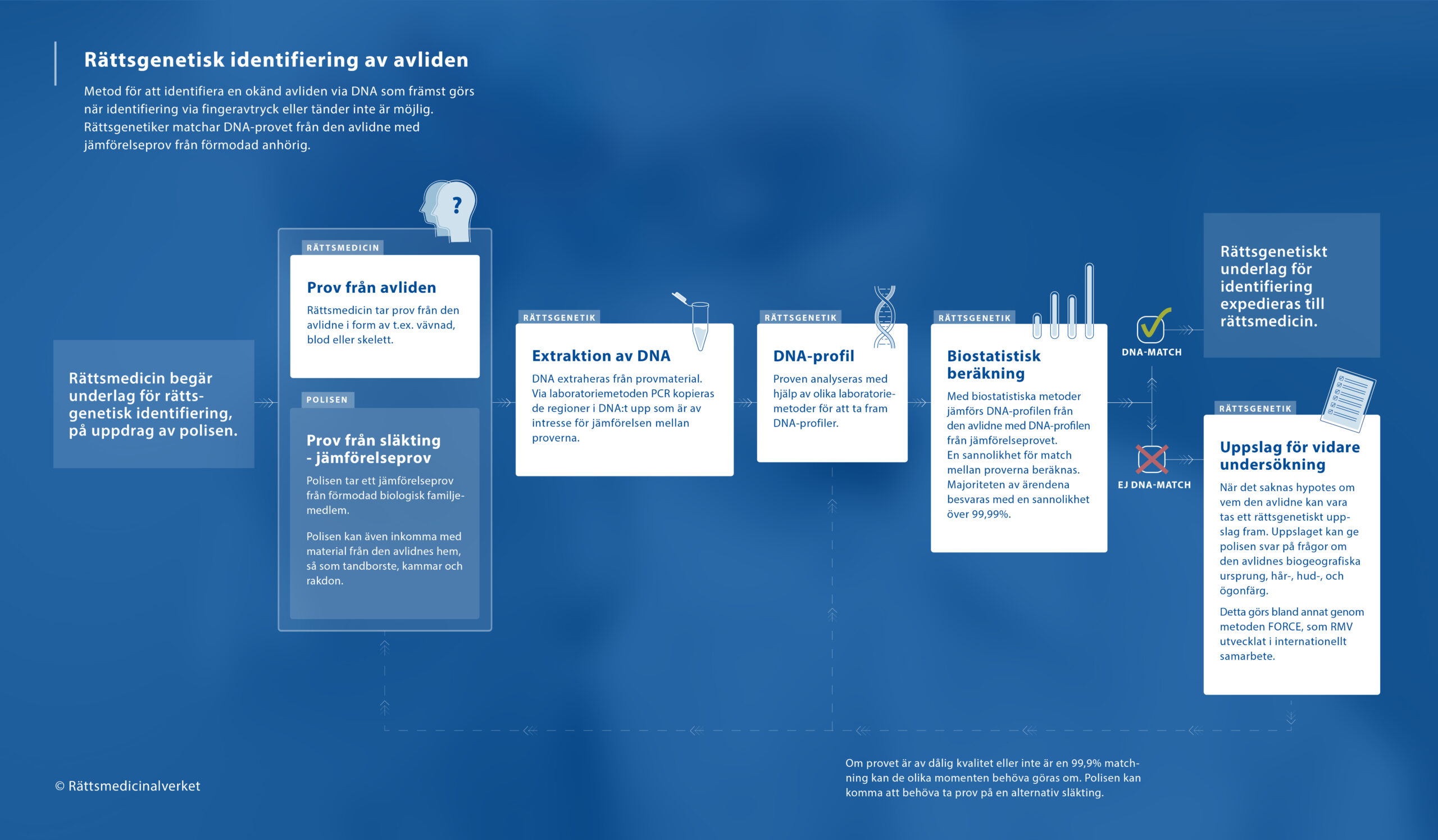 Grafisk illustration av processen för rättsgenetisk identifiering av avlidna
