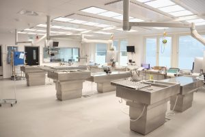 Autopsy room with three autopsy tables.