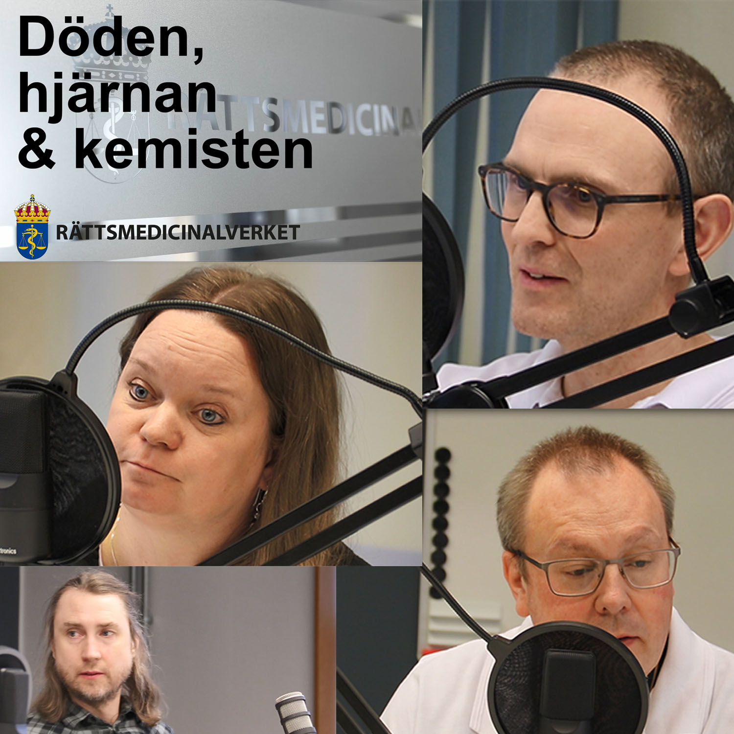 RMV:s podcast Döden hjärnan & kemisten, avsnitt 11 om Omvårdnad i den utredande rättspsykiatrin.