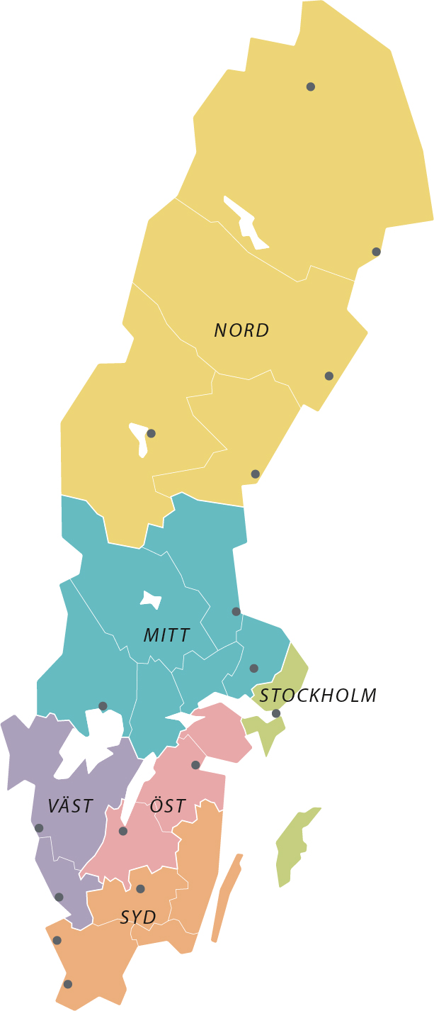 Regioner medicinska åldersbedömningar