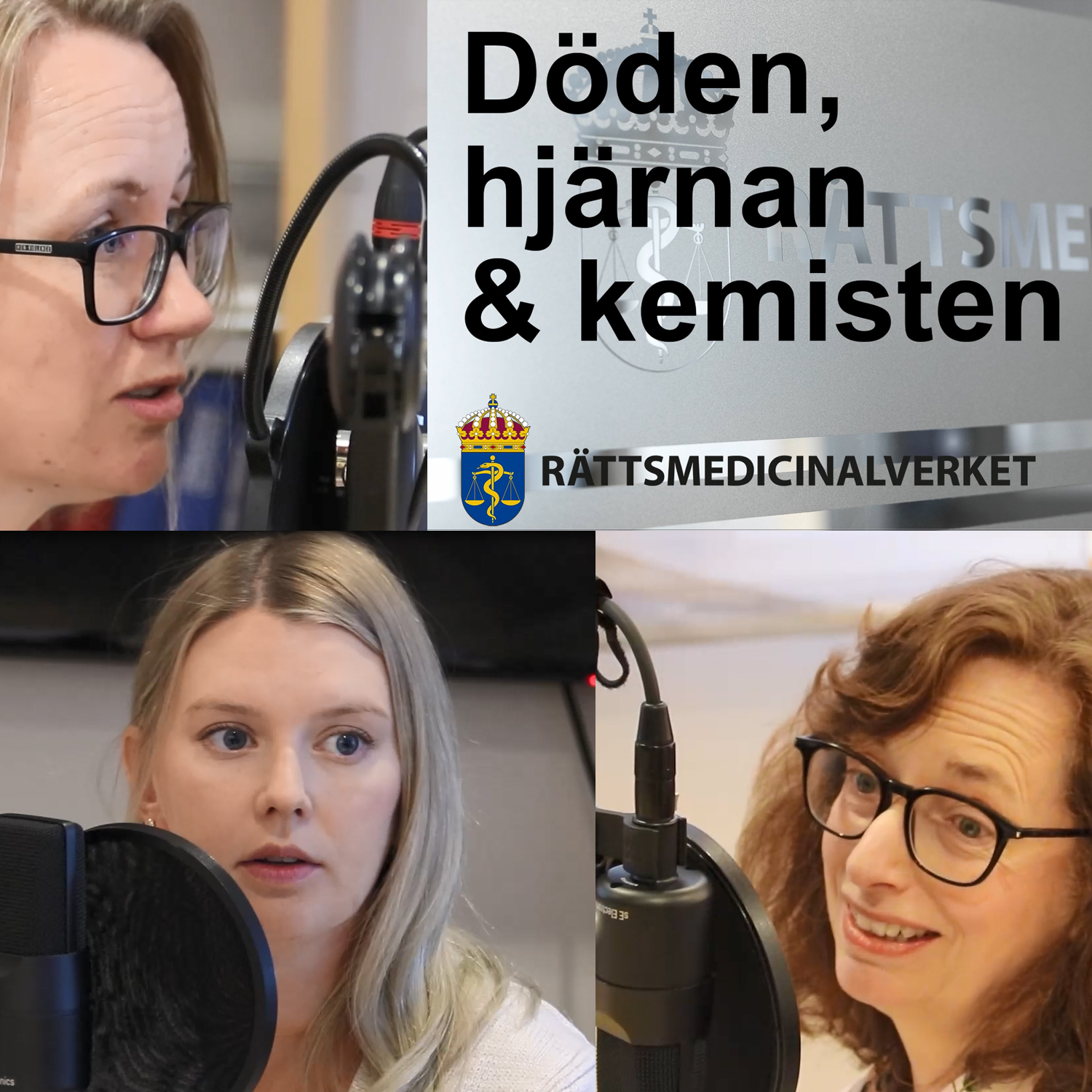 Poddavsnitt 9 Att identifiera en kropp Emma Wernvik Kerstin Montelius Rebecca Gahn