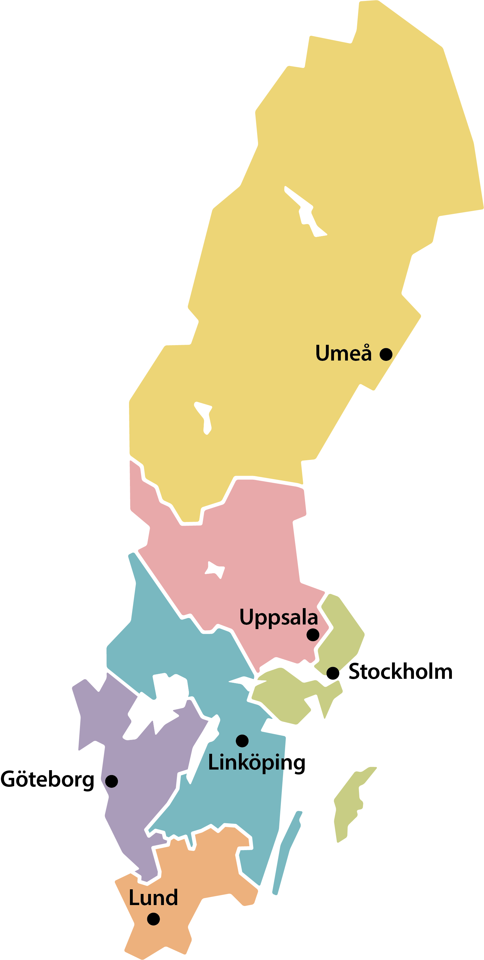 upptagningskarta för rättsmedicins verksamhet